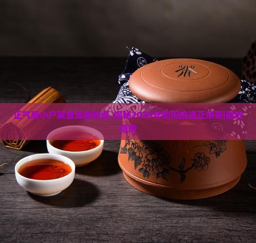 正气唐小户寨普洱茶特点