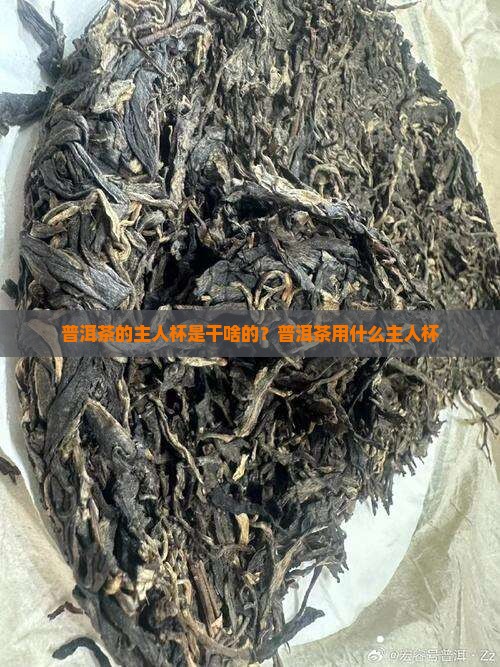 普洱茶的主人杯是干啥的