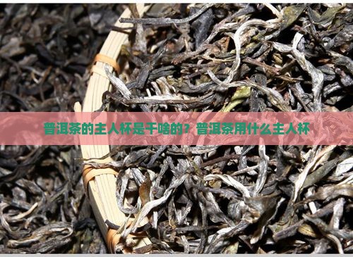 普洱茶的主人杯是干啥的