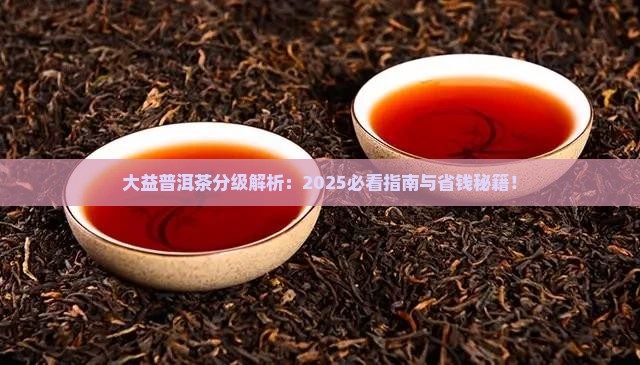 大益普洱茶怎么样分级