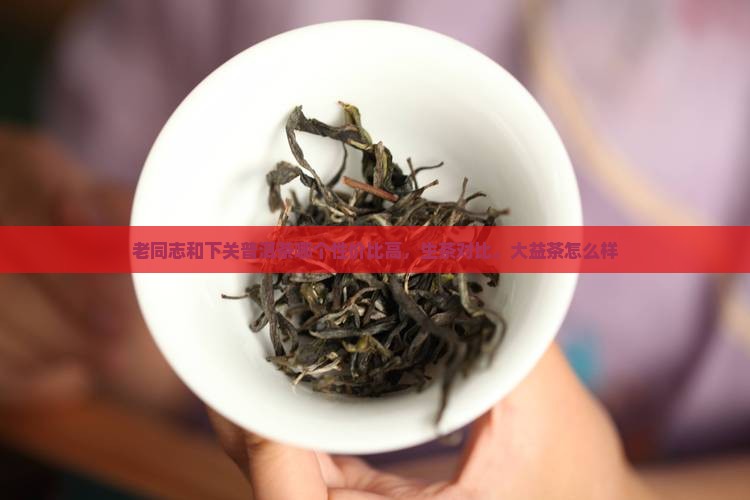 老同志和下关普洱茶