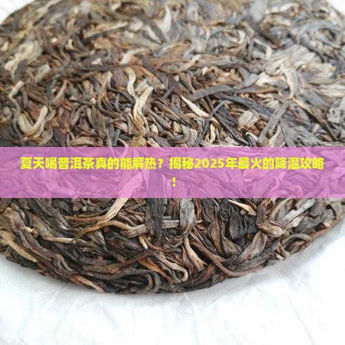 夏天喝普洱茶解热不降温