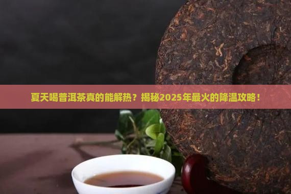 夏天喝普洱茶解热不降温