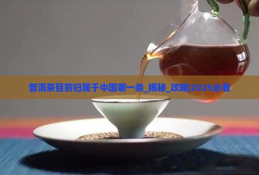 普洱茶目前归属于中国哪一类