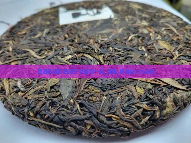 普洱茶目前归属于中国哪一类
