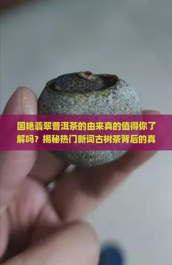 国艳翡翠普洱茶的由来