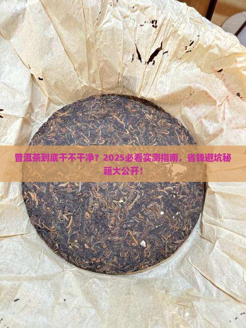 如何判断普洱茶干净