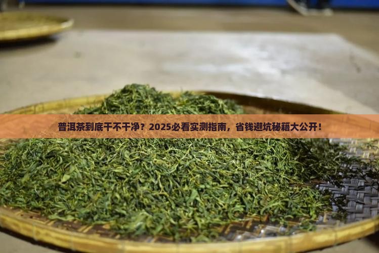 如何判断普洱茶干净