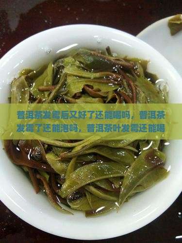 普洱茶发霉后又好了还能喝吗
