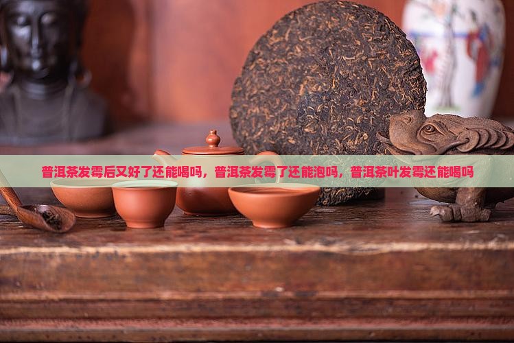 普洱茶发霉后又好了还能喝吗