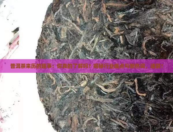 普洱茶来历的趣事