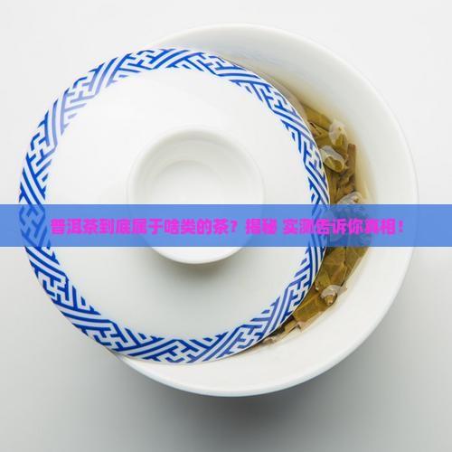 普洱茶属于哪类的茶叶