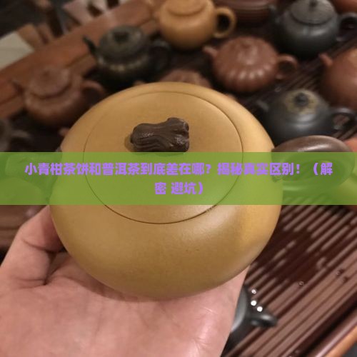 小青柑茶饼和普洱茶的区别