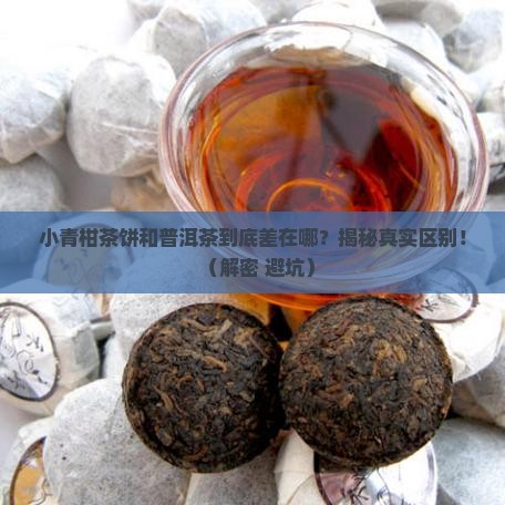 小青柑茶饼和普洱茶的区别