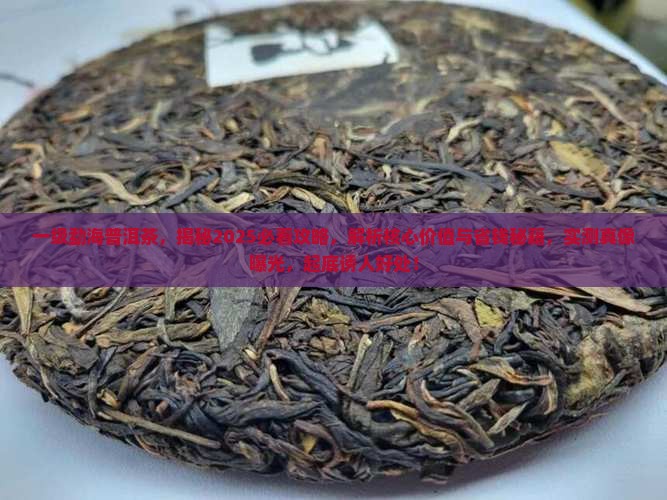 一级勐海普洱茶 一级勐海普洱茶