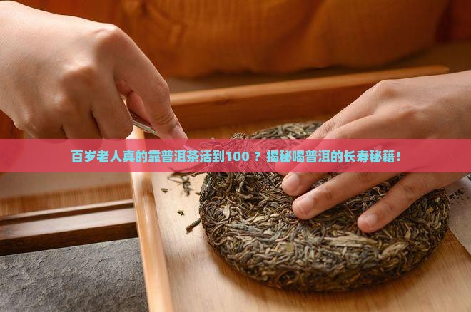 百岁老人喝普洱茶好吗