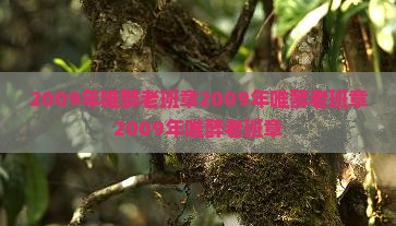 2009年唯醉老班章