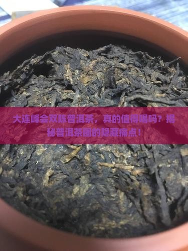 大连峰会双陈普洱茶