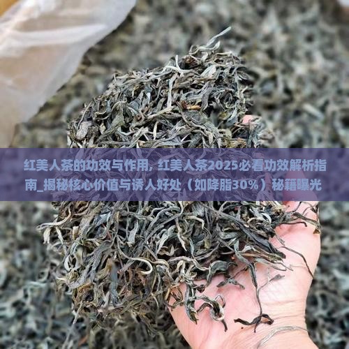 红美人茶的功效与作用