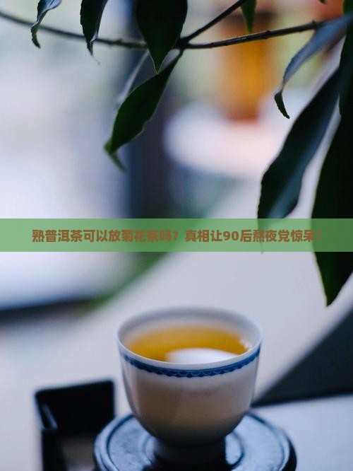 熟普洱茶可以放菊花茶吗