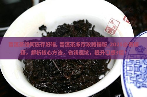 普洱茶如何冻存好喝