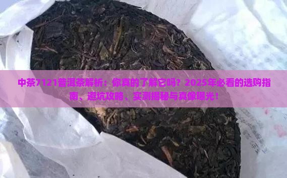 中茶7121普洱茶