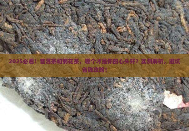 普洱茶好喝菊花茶好