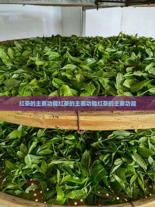 红茶的主要功能