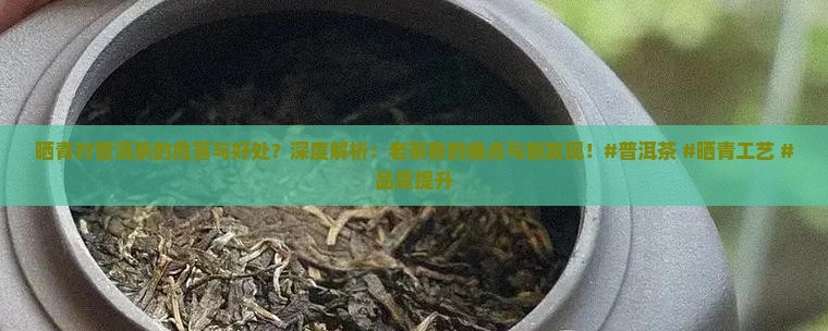晒青对普洱茶的危害与好处