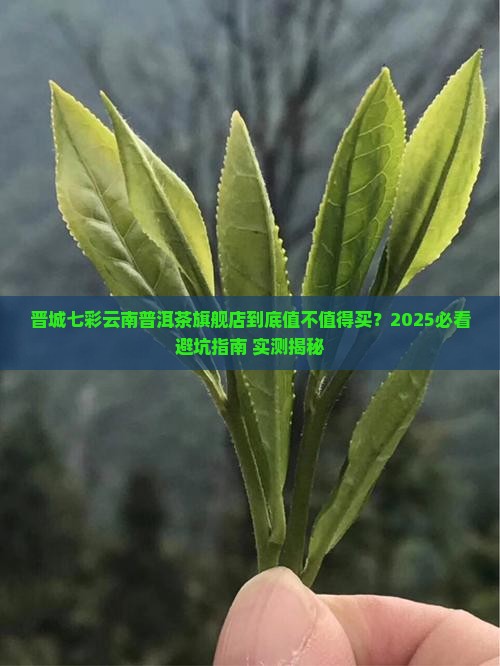 晋城七彩云南普洱茶旗舰店