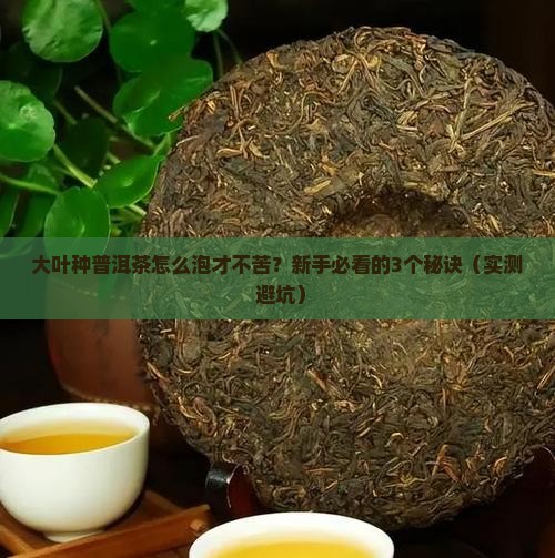 普洱茶大叶种传统加工工艺