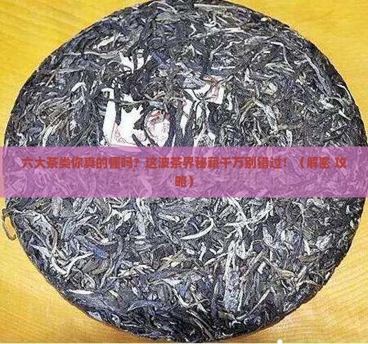 六大茶类的代表名茶分别有