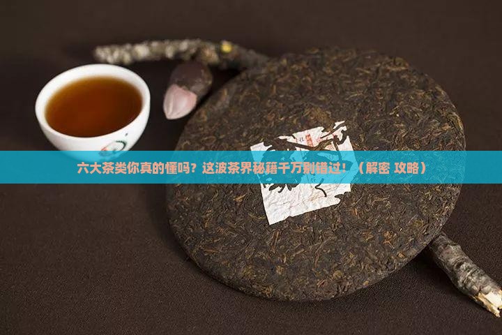六大茶类的代表名茶分别有