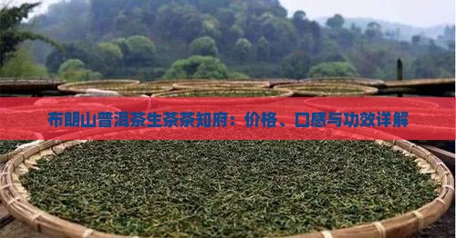 布朗山普洱茶生茶茶知府