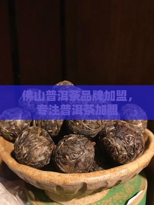 佛山熟普洱茶品牌加盟