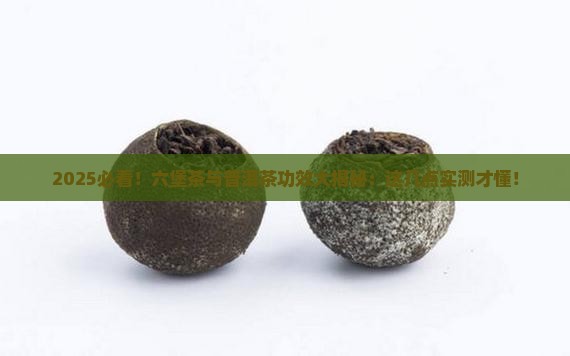 六堡茶与普洱茶功效区别