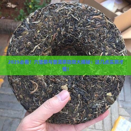 六堡茶与普洱茶功效区别