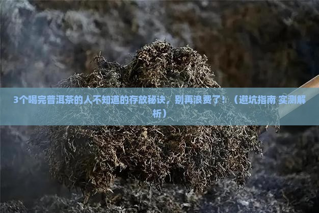 喝过的普洱茶可以存放吗