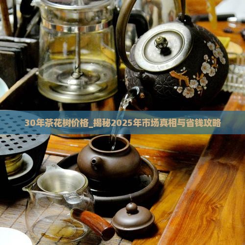 30年茶花树价格