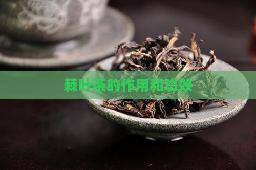 棘叶茶的作用和功效
