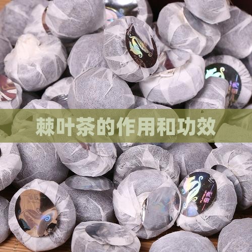 棘叶茶的作用和功效