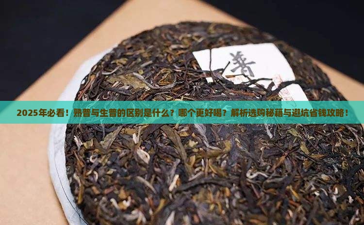 熟普与生普的区别熟普哪个好喝