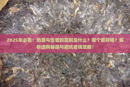 熟普与生普的区别熟普哪个好喝
