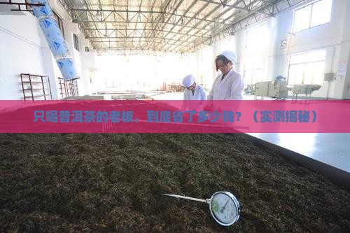 只喝普洱茶的老板