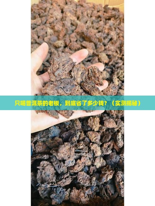 只喝普洱茶的老板