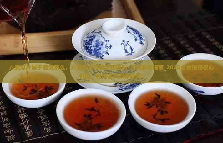 六安瓜片属于普洱茶么