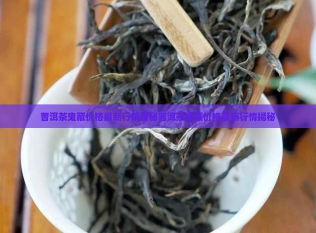 普洱茶鬼藏价格
