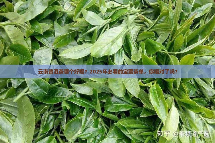 云南普洱茶哪个好喝 云南普洱茶哪个好喝