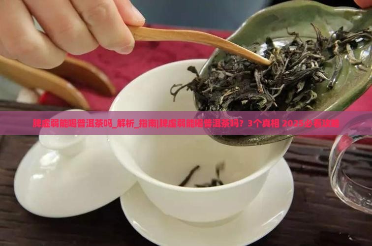 脾虚弱能喝普洱茶吗