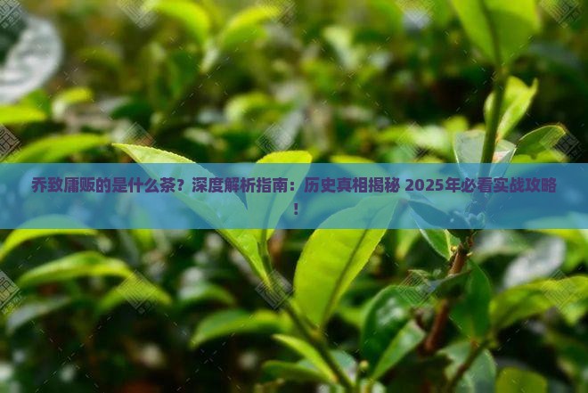 乔致庸贩茶是什么茶